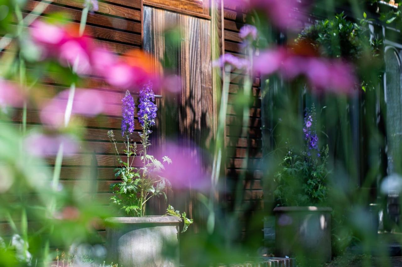 Beeltjens B&B: Wolf&Belle Westerlo Exterior foto
